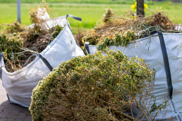 Best Dumpster Rental Services  in Davenport, FL